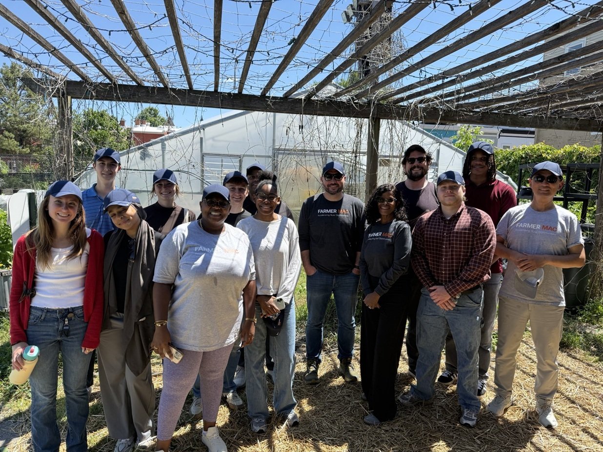 Volunteering at City Garden