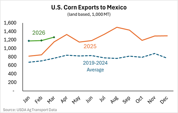 Corn-1