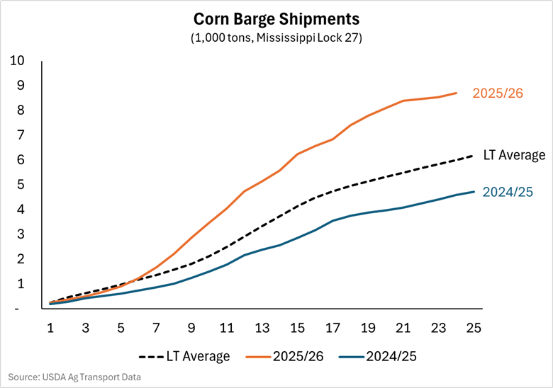 Corn-2