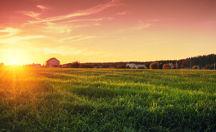 farm-ranch