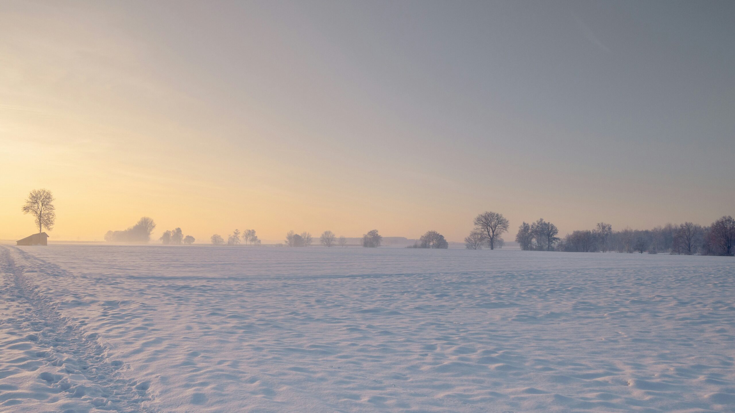 marvin-langer-fdb07Cl0p5k-unsplash-scaled