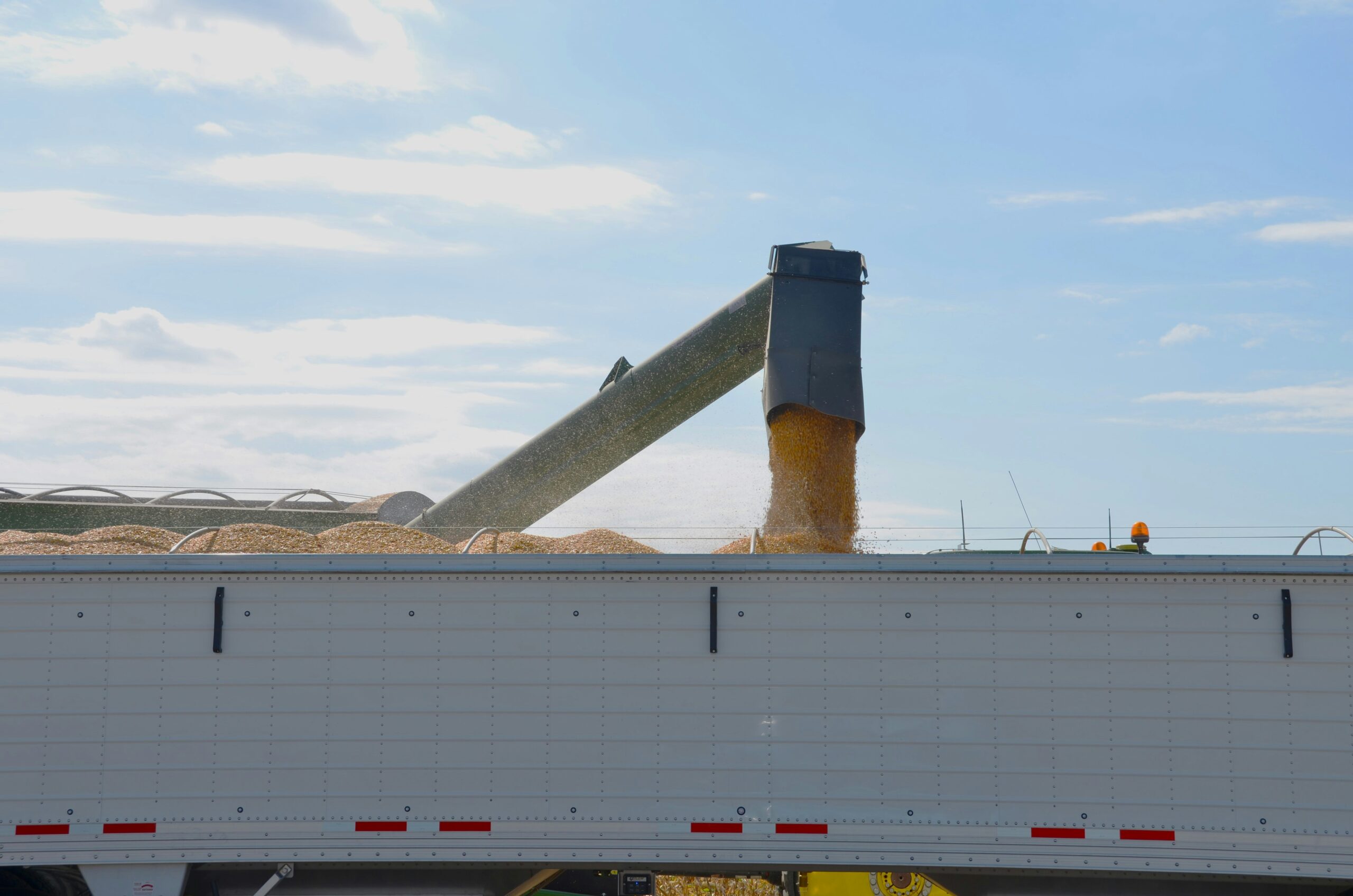 roger-starnes-sr-B_vgWzwEugc-unsplash-scaled