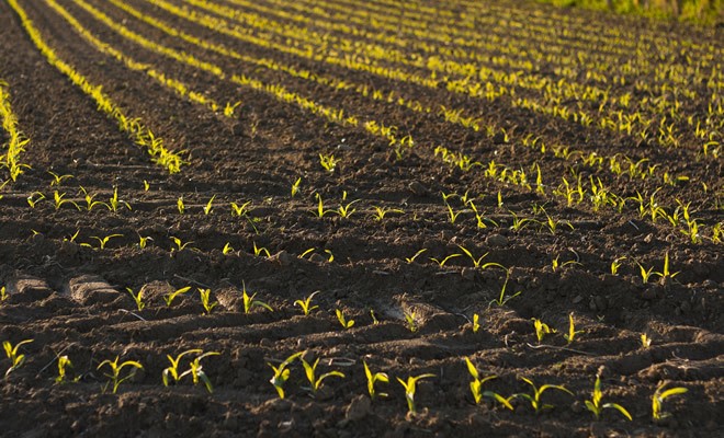 Farmer Mac In the News